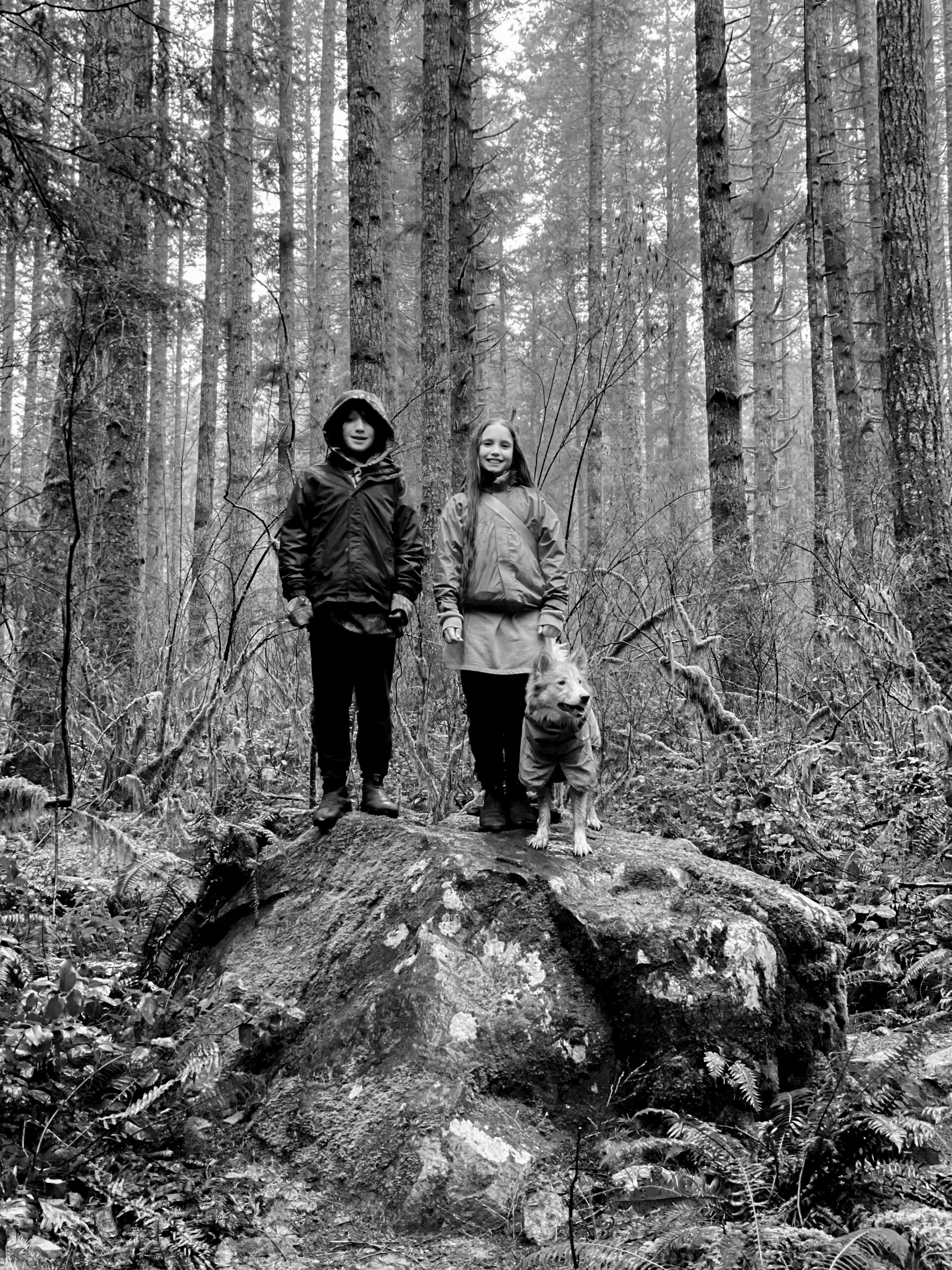 Kids and a dog standing on top of a large rock in the forest